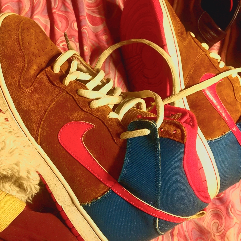 NIKE DUNK HIGH PRO SB - MR. TODD BRATRUD
